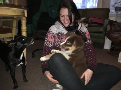 Overnight Pet/Housesitting